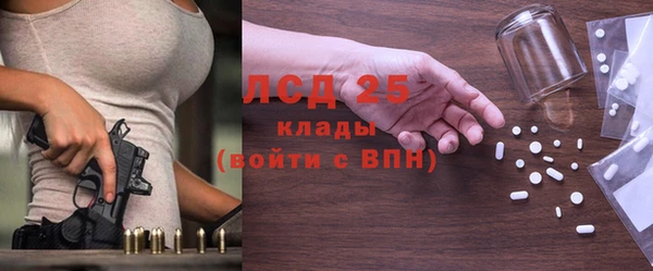 прущие грибы Гусев