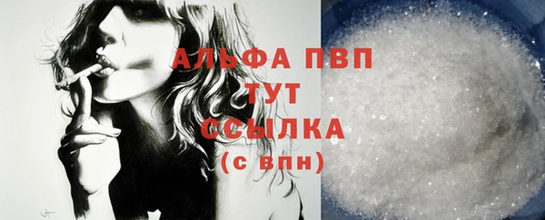 эйфоретик Гусь-Хрустальный
