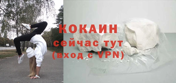 прущие грибы Гусев