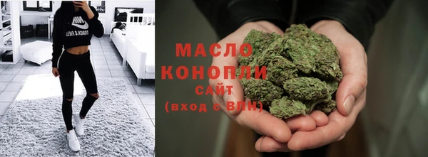 эйфоретик Гусь-Хрустальный