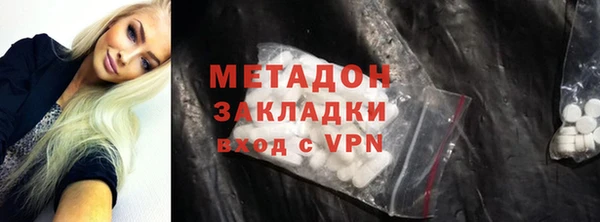 прущие грибы Гусев