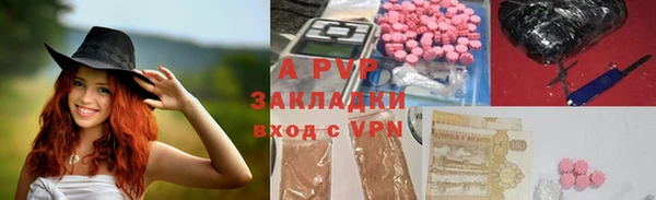 эйфоретик Гусь-Хрустальный