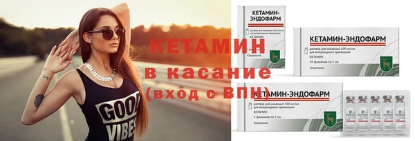 эйфоретик Гусь-Хрустальный