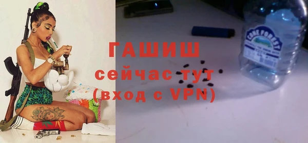 прущие грибы Гусев
