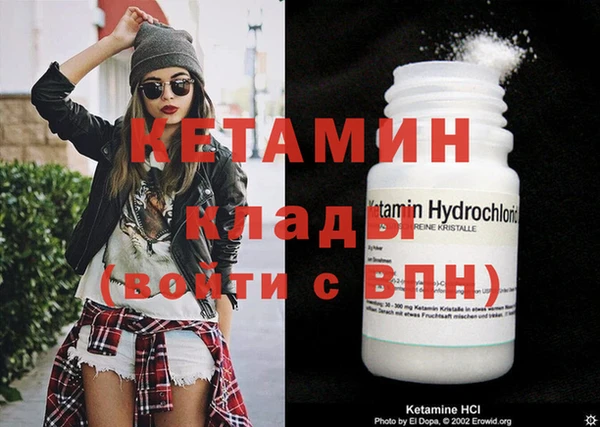прущие грибы Гусев