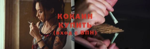 прущие грибы Гусев