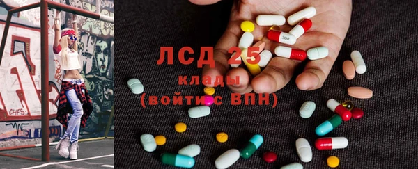 прущие грибы Гусев
