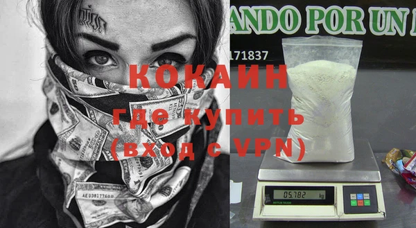 эйфоретик Гусь-Хрустальный