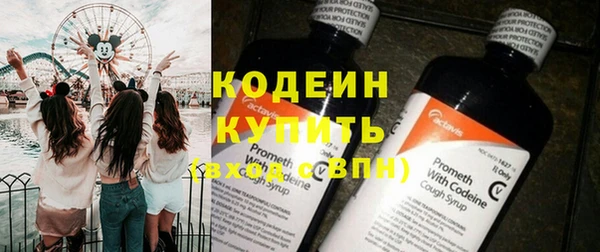 эйфоретик Гусь-Хрустальный
