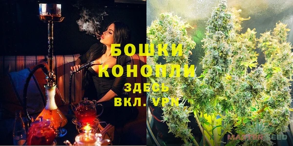 эйфоретик Гусь-Хрустальный