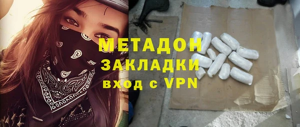 прущие грибы Гусев