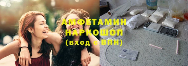 прущие грибы Гусев